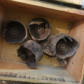 7,5 cm Kartuschenhülsen, Waldkraiburg 2022.jpg