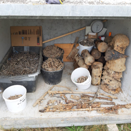 Waffen, Mun, Helme Bad-Reichenhall, 2021.jpg