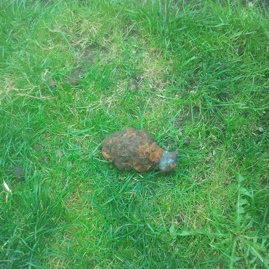 Handgranate US Garten Bernbeuren.jpg