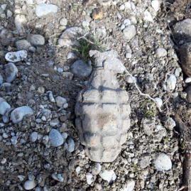 Handgranate US M1, Planegg 2019.jpg