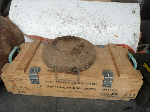 Panzermine Pilz 2016.JPG