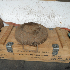 Panzermine Pilz 2016.JPG