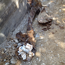 Zerscheller 500 lbs München 2016.JPG