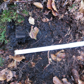 5cm Wurfgranate dt,  2014.JPG