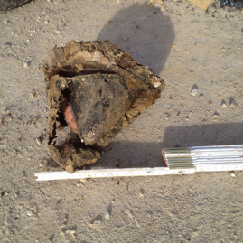 Panzerfaustkopf Rosenheim 2013.jpg