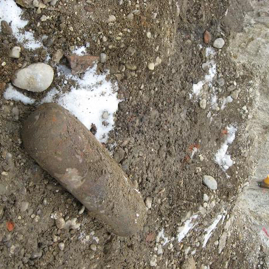 WP 30 lbs München 2010.JPG