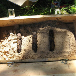 Gewehrgranaten deutsch WK II, 2012.JPG