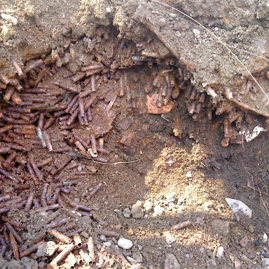 Infanteriemunition Murnau 2009.JPG