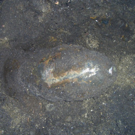 Sprengbombe 250lbs. Rosenheim 2008.jpg